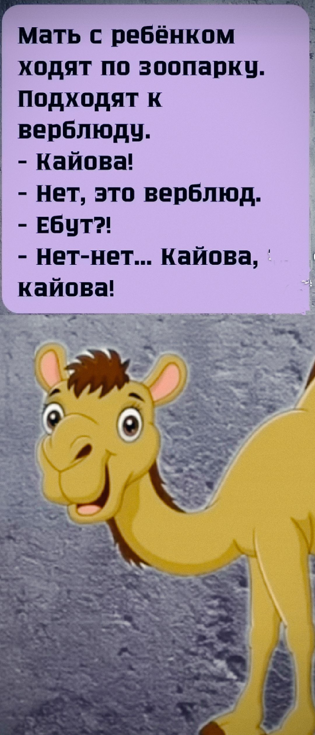 Мать с ребёнком ходят по зоопарку. Подходят к верблюду.
- Кайова!
- Нет, это верблюд.
- Ебут?!
- Нет-нет… Кайова, кайова!