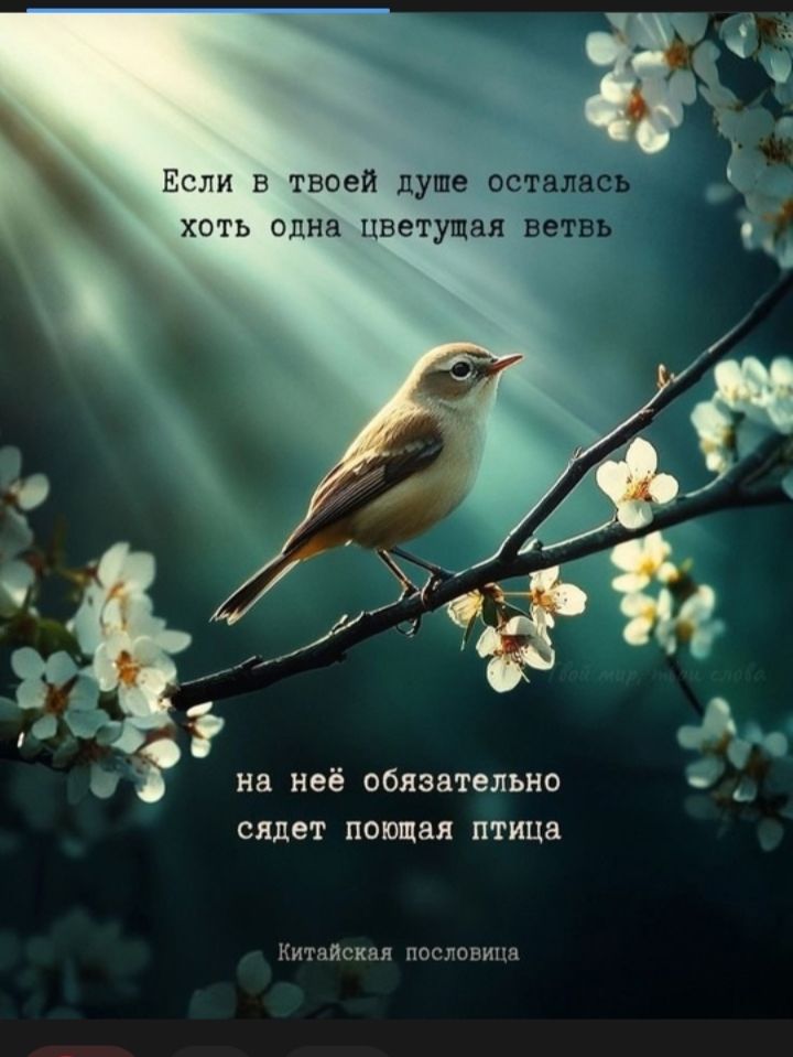 Если в твоей душе осталась хоть одна цветущая ветвь на ней обязательно сядет поющая птица. Китайская пословица