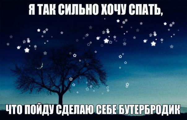 Я так сильно хочу спать, что пойду сделаю себе бутербродик
