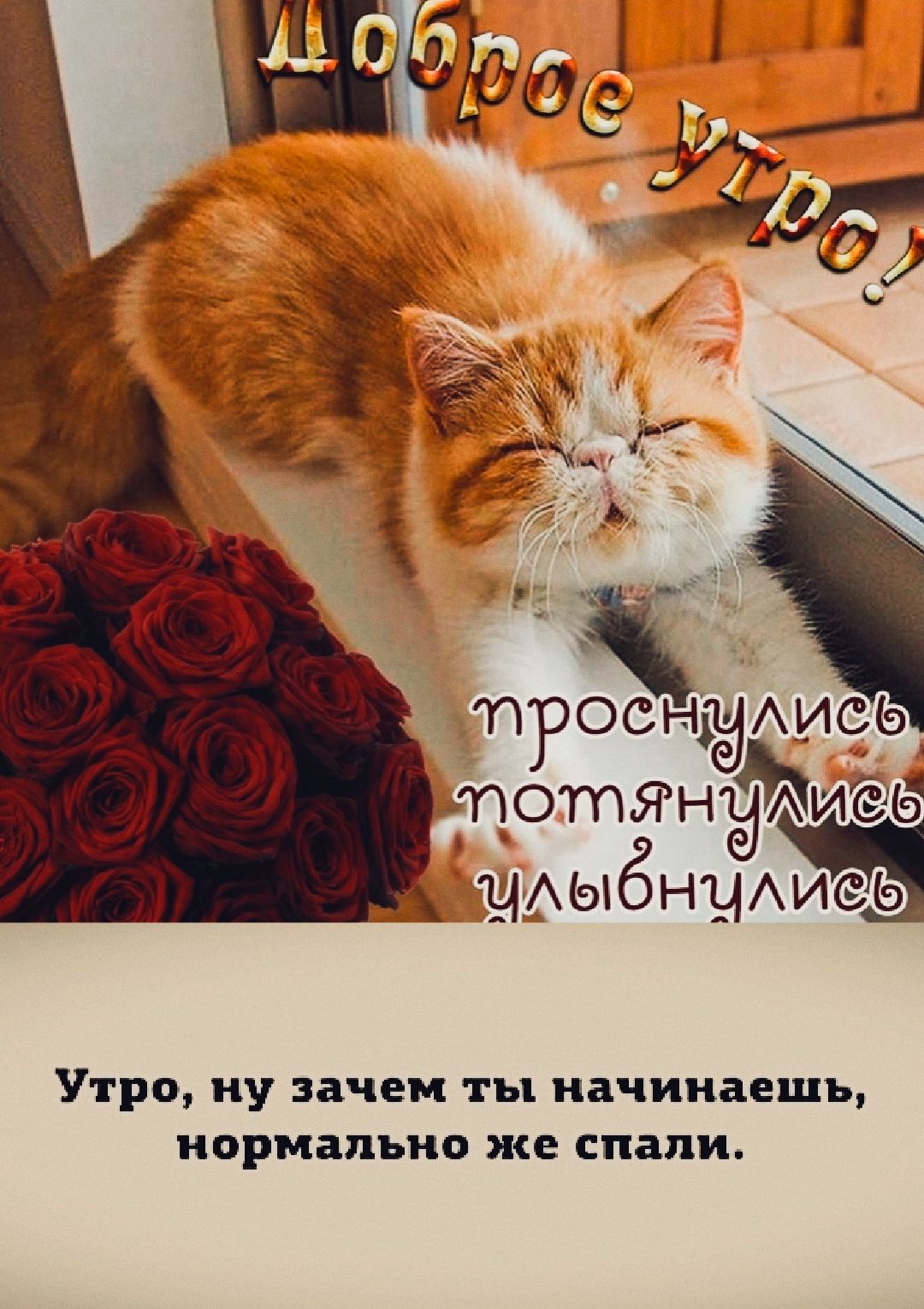 Доброе утро! проснулись потянулись улыбнулись Утро, ну зачем ты начинаешь, нормально же спали.