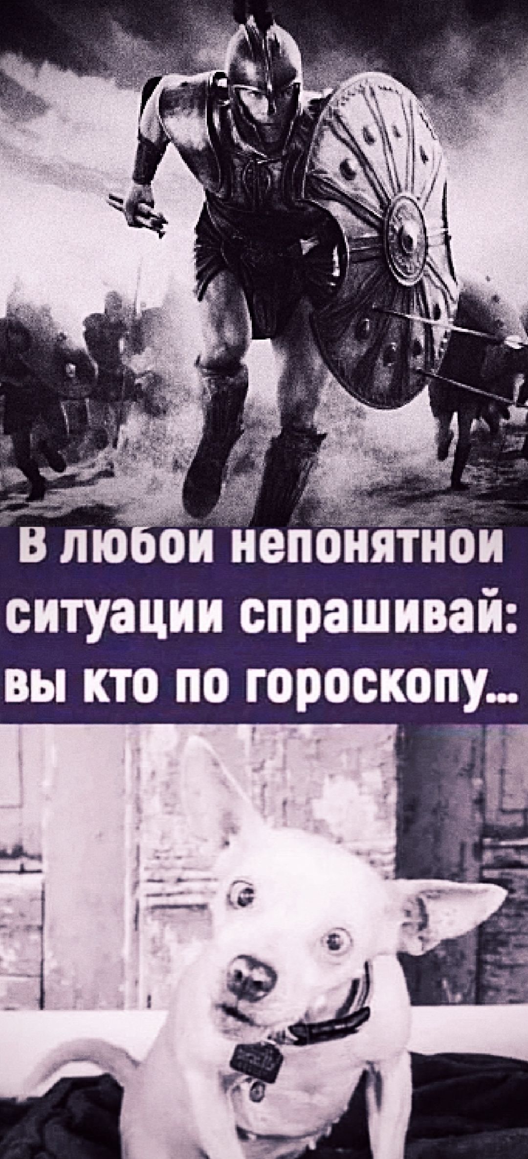 В любой непонятной ситуации спрашивай: вы кто по гороскопу...
