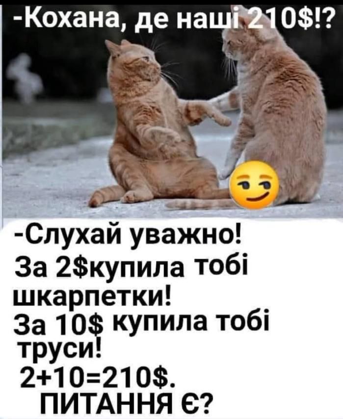 - Кохана, де наші 210$!?  
  - Слухай уважно!  
  За 2$ купила тобі шкарпетки!  
  За 10$ купила тобі труси!  
  2+10=210$.  
  ПИТАННЯ Є?