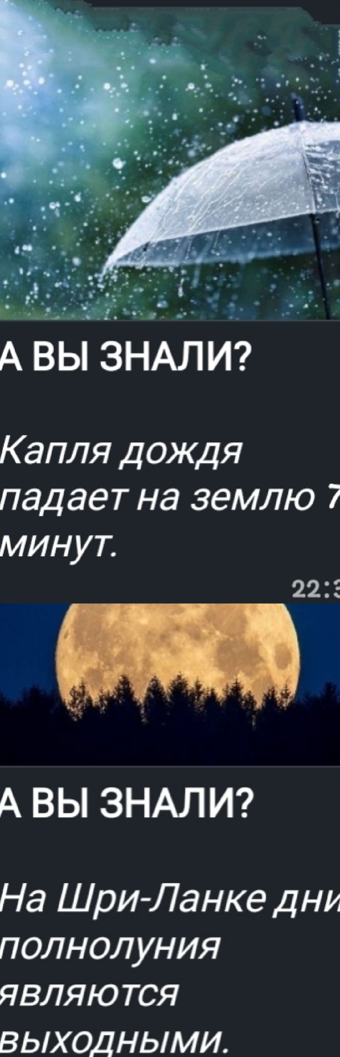 А ВЫ ЗНАЛИ?
Капля дождя падает на землю 7 минут.
А ВЫ ЗНАЛИ?
На Шри-Ланке дни полнолуния являются выходными.
