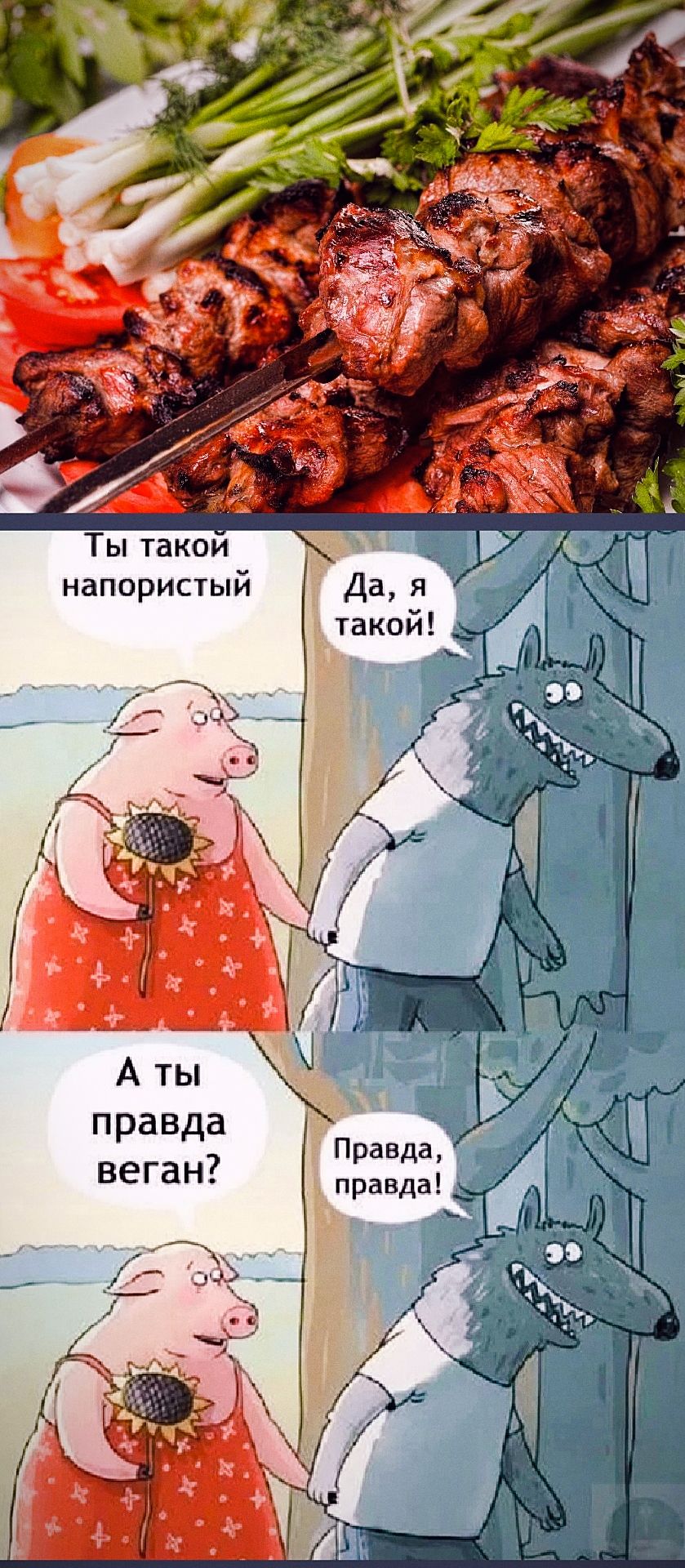 Ты такой напористый
Да, я такой!
А ты правда веган?
Правда, правда!