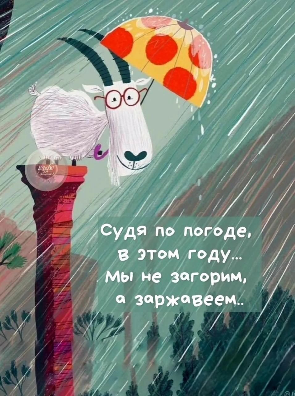 Судя по погоде, в этом году... Мы не загорим, а заржавеем..