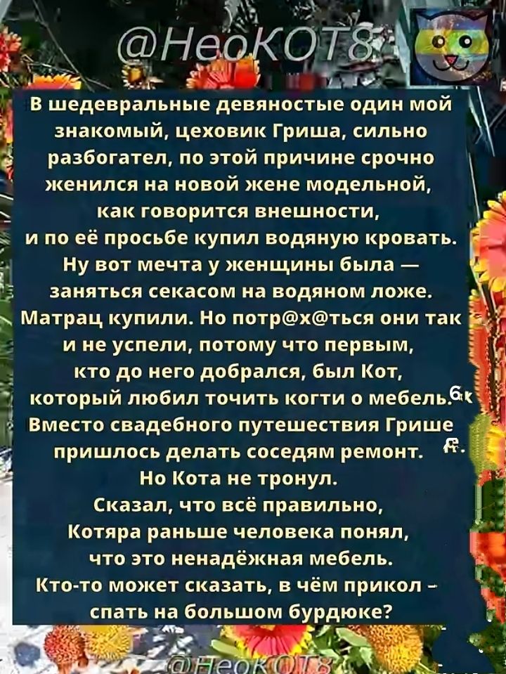 В шедевральные девяностые один мой знакомый, цеховик Гриша, сильно разбогател, по этой причине срочно женился на новой жене модельной, как говорится внешности, и по её просьбе купил водяную кровать.
Ну вот мечта у женщины была — заняться сексом на водяном ложе. Матрас купили. Но потрач@тся он так и не успели, потому что первым, кто до него добрался, был Кот, который любил точить когти о мебель.
Вместо свадебного путешествия Грише пришлось делать соседям ремонт.
Но Кота не тронул.
Сказал, что всё равно, Которая раньше человек был, что не надёжней мебели.
Кто-то может сказать, в чём проблема — спать на большом бурдюке?