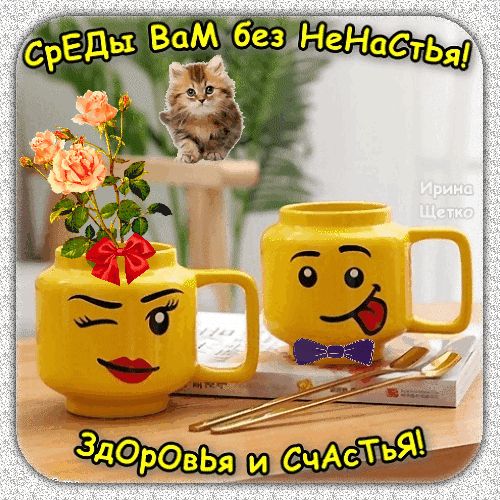 СрЕды ВАМ без НеНаСтьЯ!
ЗдОровья и СЧАСТЬЯ!