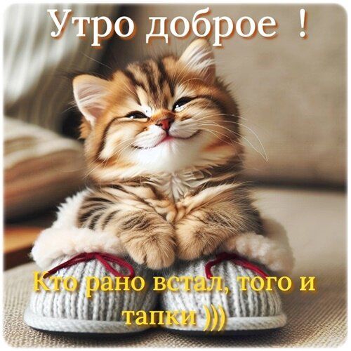 Утро доброе ! Кто рано встал, того и тапки )))