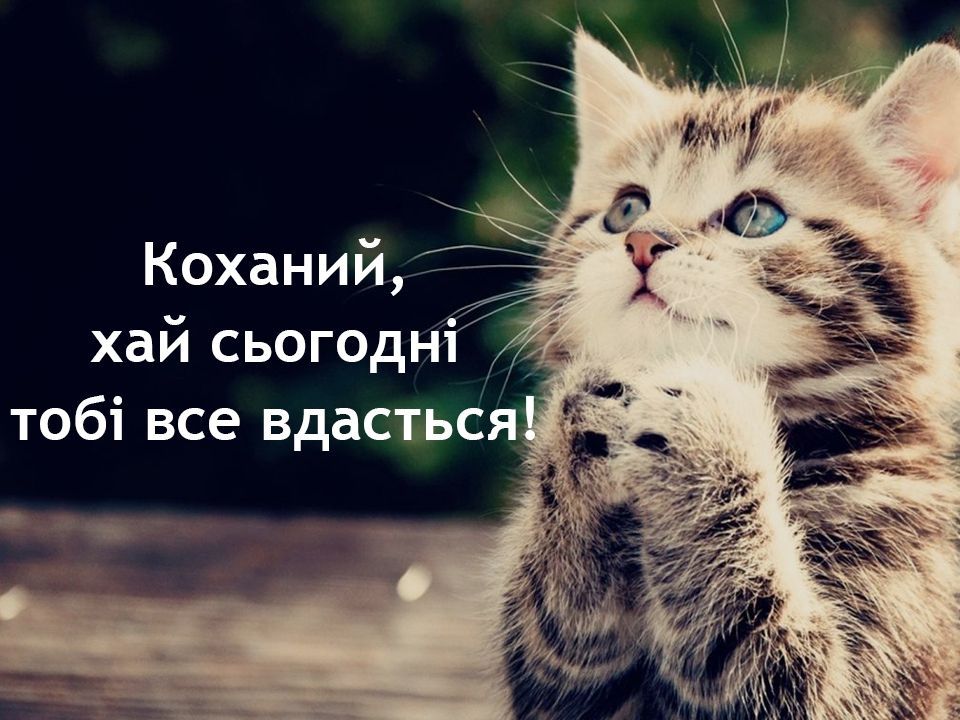 Коханий, хай сьогодні тобі все вдасться!