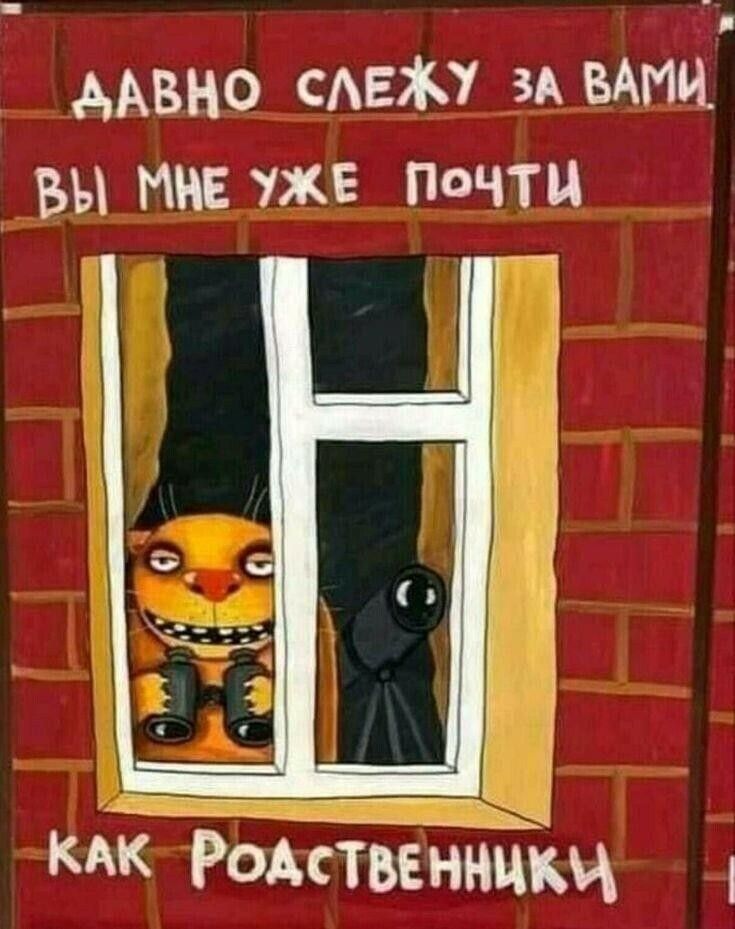 давно слежу за вами
вы мне уже почти
как родственники