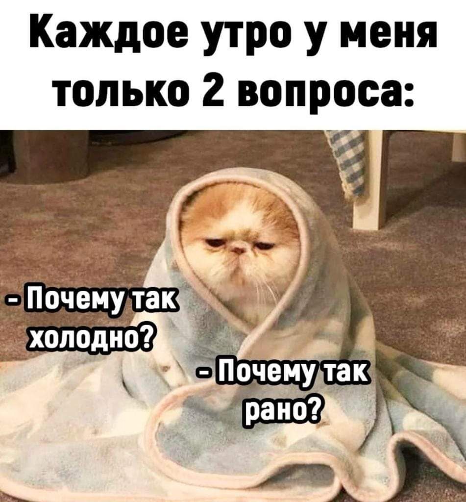 Каждое утро у меня только 2 вопроса:
- Почему так холодно?
- Почему так рано?