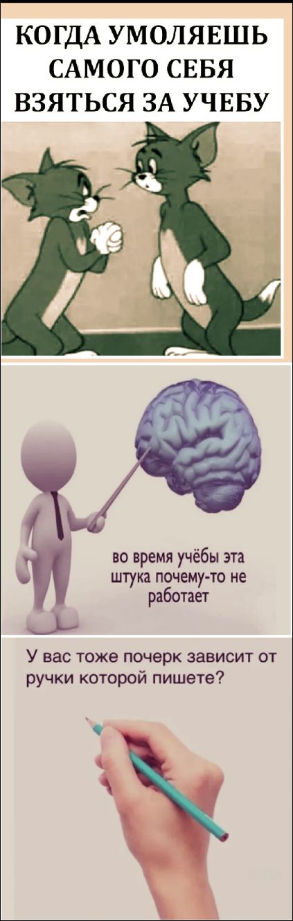 Когдa умоляешь самого себя взяться за учебу

во время учёбы эта штука почему-то не работает

У вас тоже почерк зависит от ручки которой пишете?