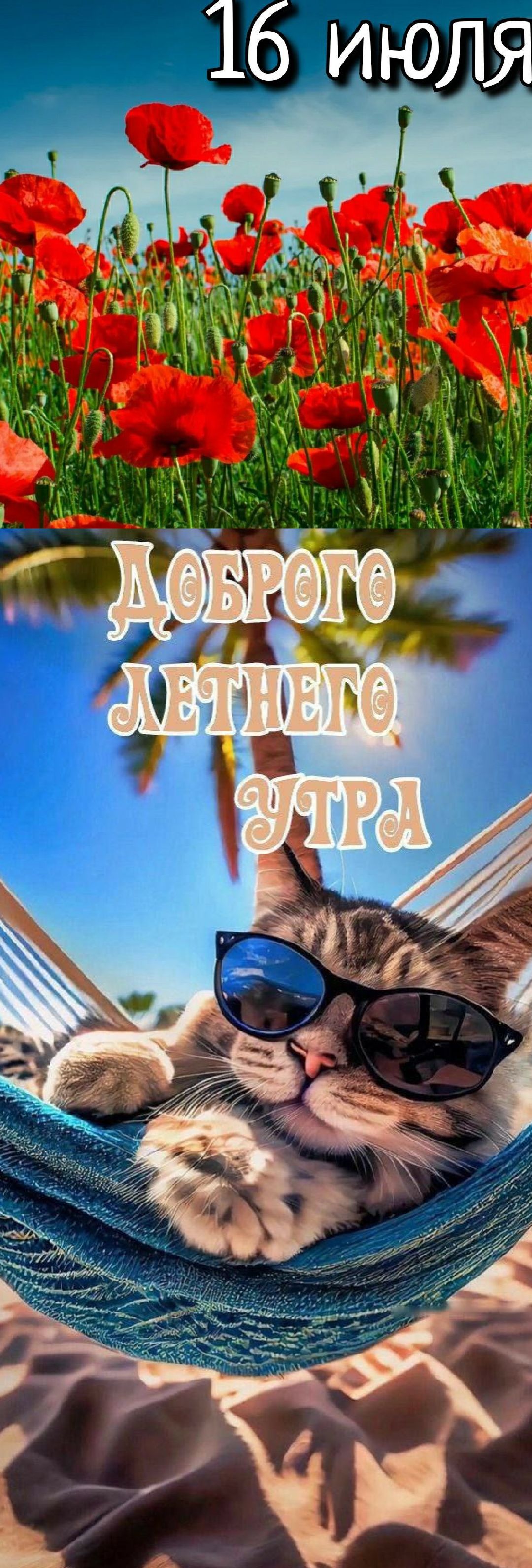 16 июля
Доброго летнего утра