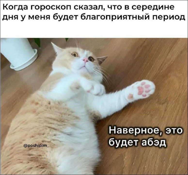 Когда гороскоп сказал, что в середине дня у меня будет благоприятный период
Наверное, это будет абзд.