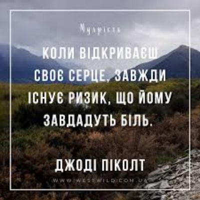 Коли відкриваєш своє серце, завжди існує ризик, що йому завдадуть біль.
Джоді Піколт