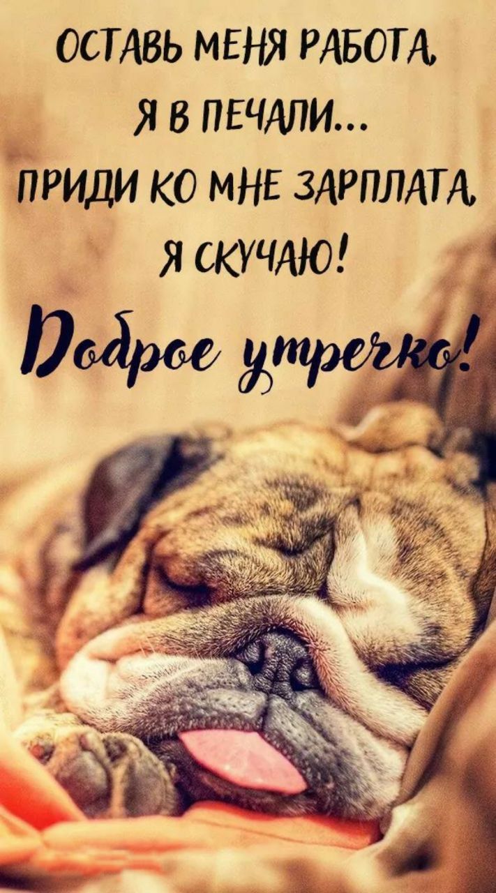 Оставь меня работа, я в печали... приди ко мне зарплата, я скучаю! Доброе утречко!