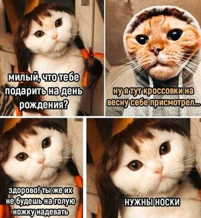 милый, что тебе подарить на день рождения?
ну я тут кроссовки на весну себе присмотрел...
здорово! ты же их не будешь на голую ножку надевать
НУЖНЫ НОСКИ