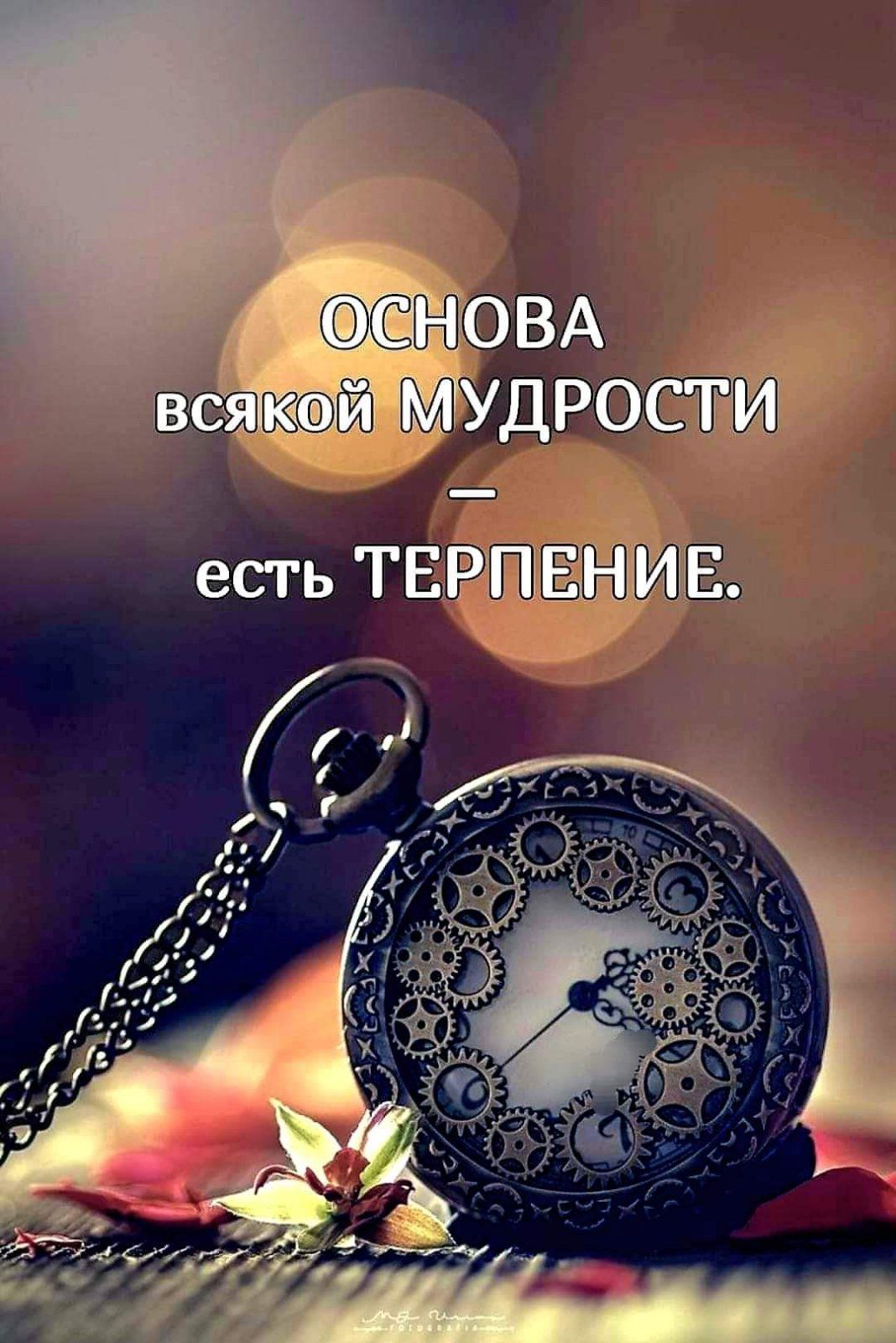 ОСНОВА всякой МУДРОСТИ — есть ТЕРПЕНИЕ.