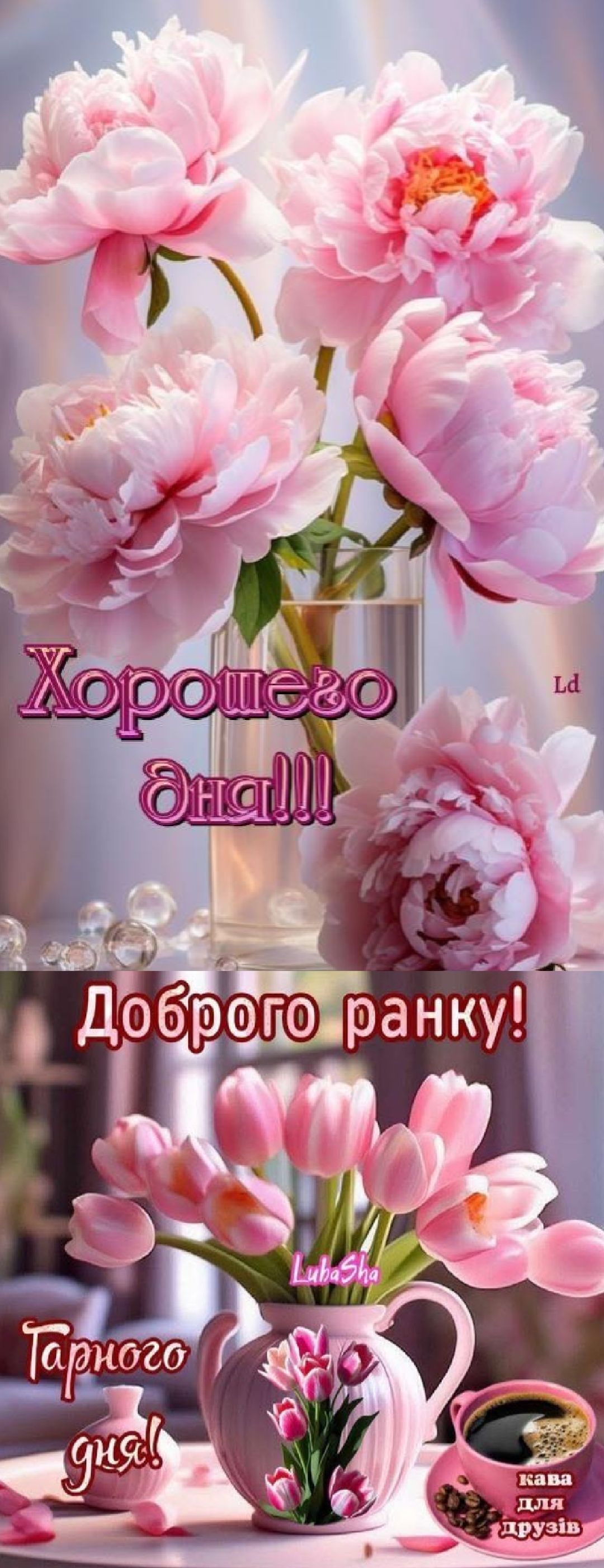 Хорошего дня!!!
Доброего ранку!
Гарного дня!