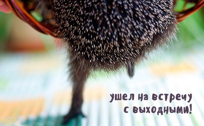 ушел на встречу с выходными!