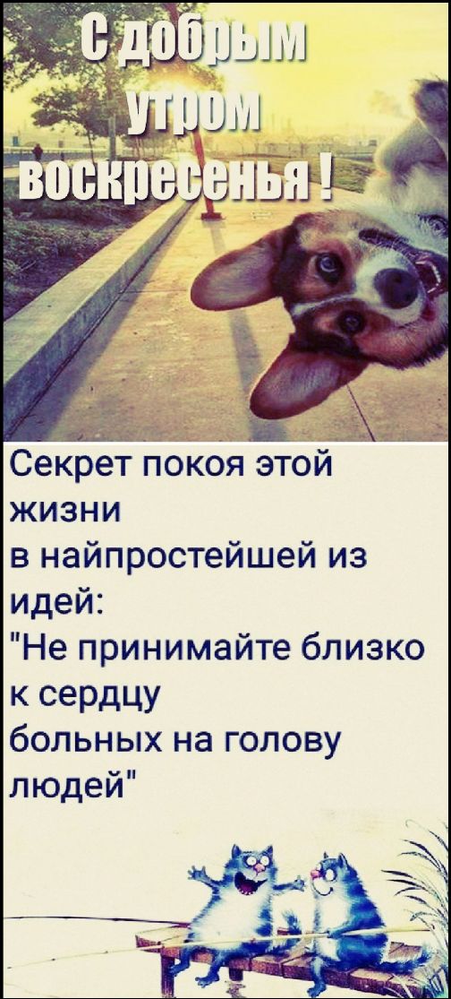 С добрым утром воскресенья !
Секрет покоя этой жизни в найпростейшей из идей: 