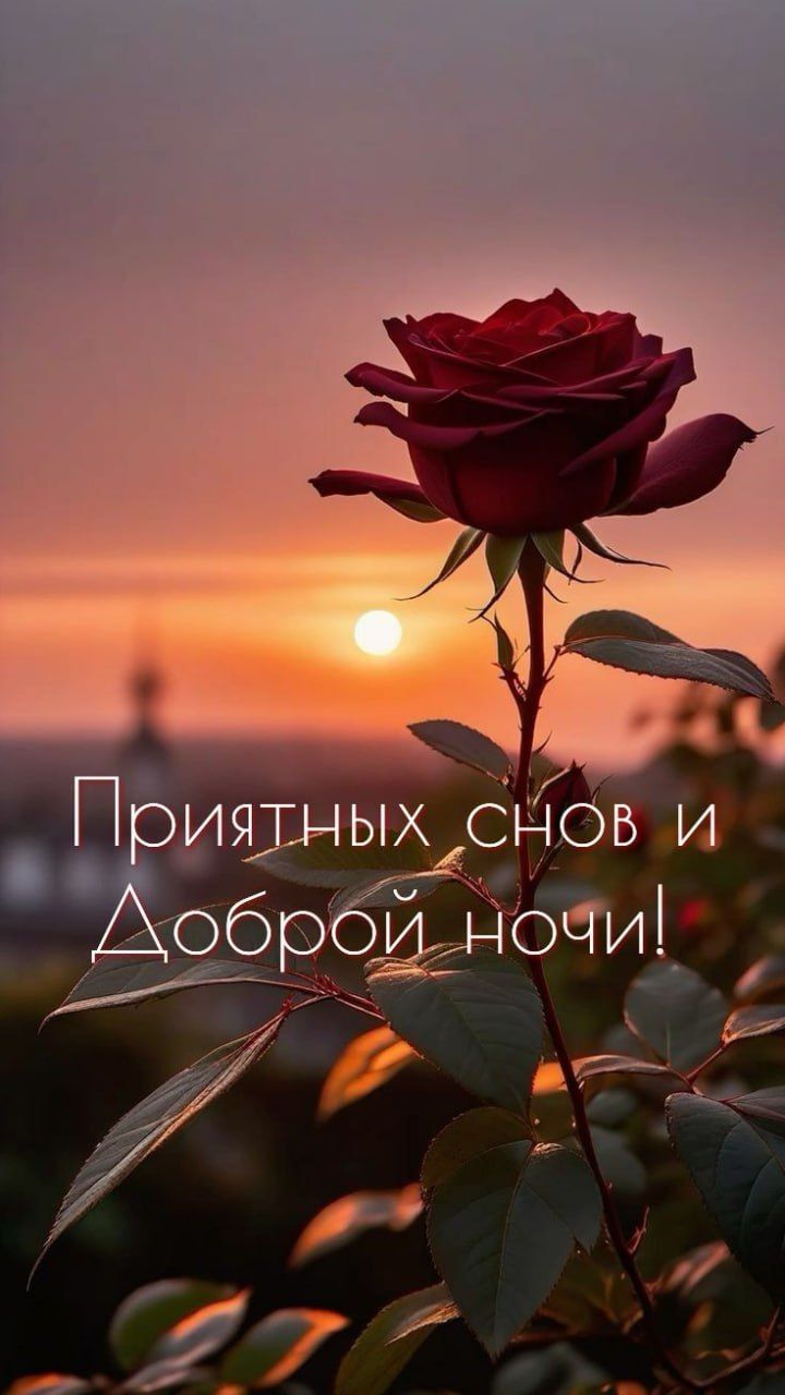 Приятных снов и Доброй ночи!