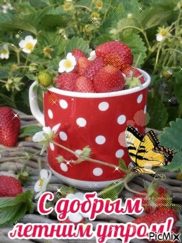 С добрым летним утром!