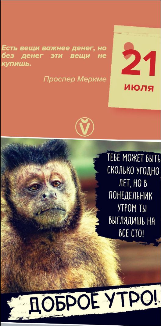 Есть вещи важнее денег, но без денег эти вещи не купишь.
Проспер Мериме

21 ИЮЛЯ

ТЕБЕ МОЖЕТ БЫТЬ СКОЛЬКО УГОДНО ЛЕТ, НО В ПОНЕДЕЛЬНИК УТРОМ ТЫ ВЫГЛЯДИШЬ НА ВСЁ 100!

ДОБРОЕ УТРО!