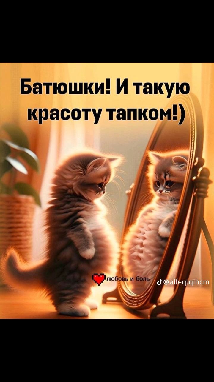 Батюшки! И такую красоту тапком!)