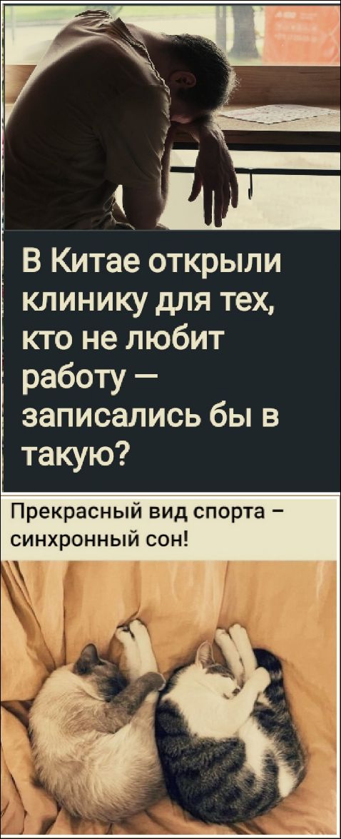 В Китае открыли клинику для тех, кто не любит работу — записались бы в такую? Прекрасный вид спорта – синхронный сон!