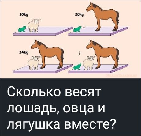 Сколько весит лошадь, овца и лягушка вместе?