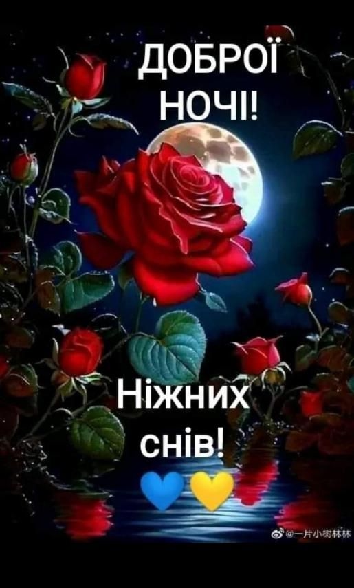 ДОБРОЇ НОЧІ! Ніжних снів!