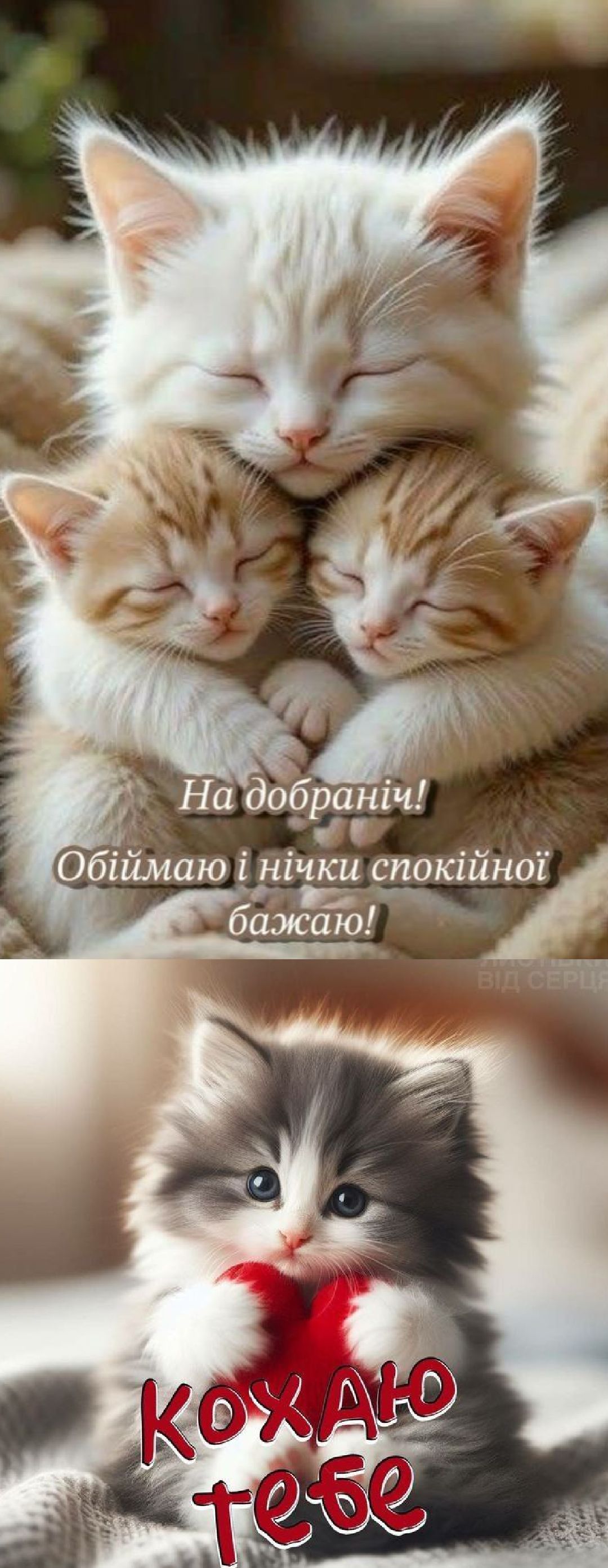 На добраніч! Обіймаю і нічки спокійної бажаю! 
Кохаю тебе
