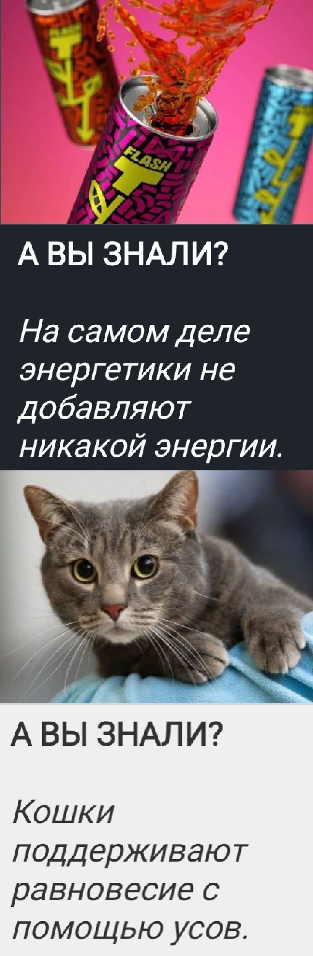 А ВЫ ЗНАЛИ?
На самом деле энергетики не добавляют никакой энергии.
А ВЫ ЗНАЛИ?
Кошки поддерживают равновесие с помощью усов.