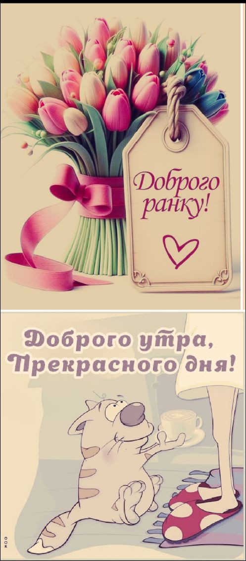 Доброе утро! Прекрасного дня! Доброе утро, Прекрасного дня!