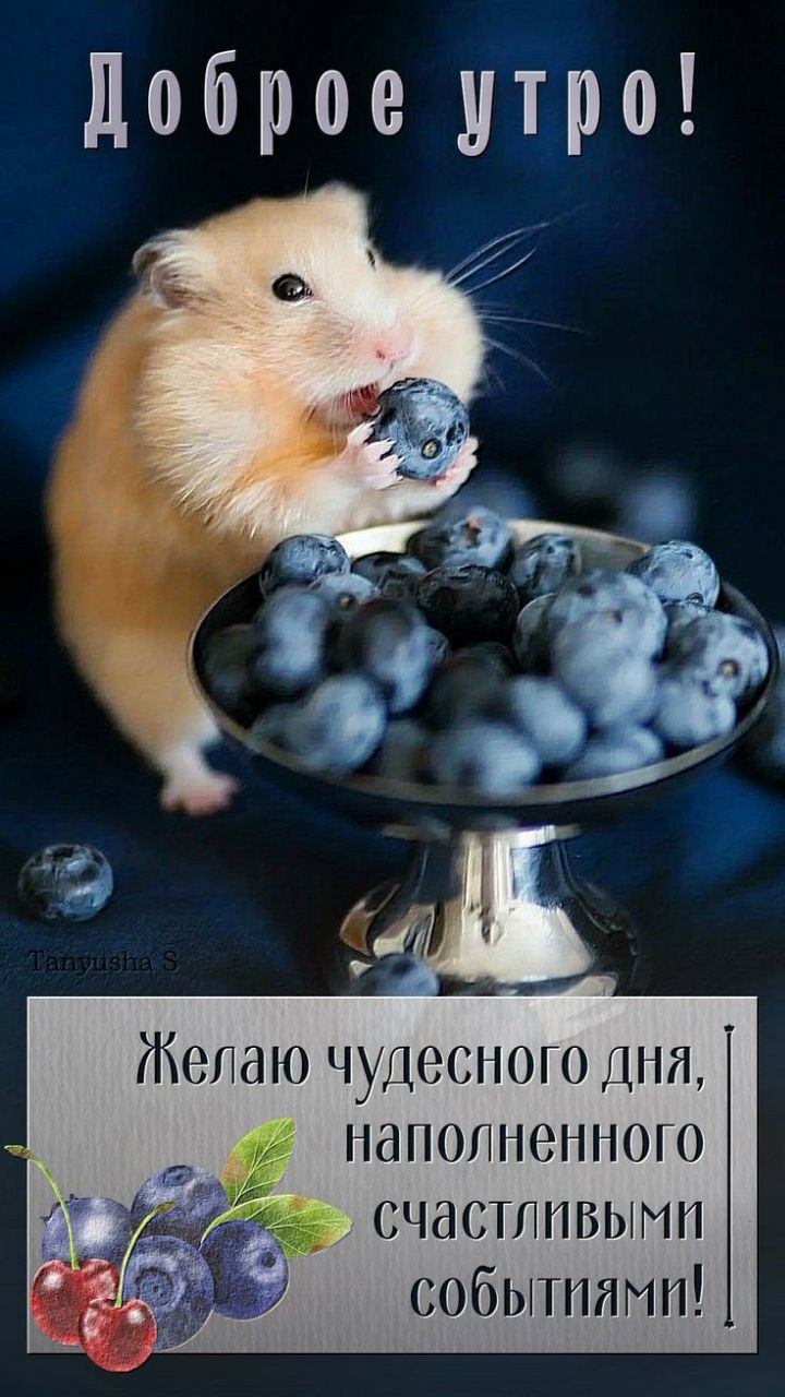 Доброе утро! Желаю чудесного дня, наполненного счастливыми событиями!