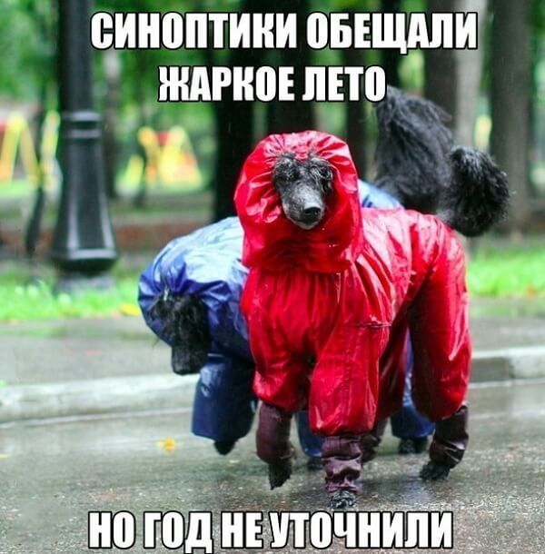 СИНОПТИКИ ОБЕЩАЛИ ЖАРКОЕ ЛЕТО НО ГОД НЕ УТОЧНИЛИ