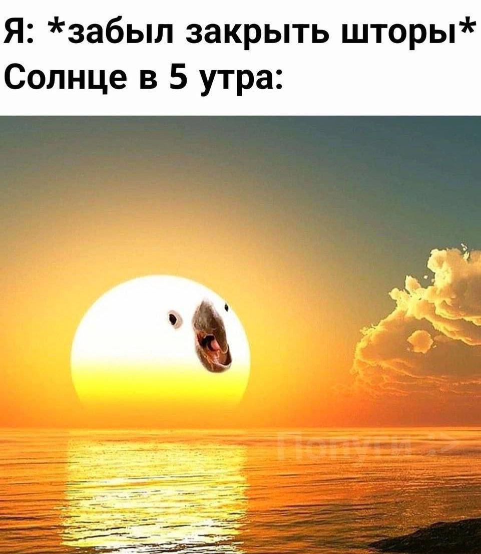 Я: *забыл закрыть шторы* Солнце в 5 утра:
