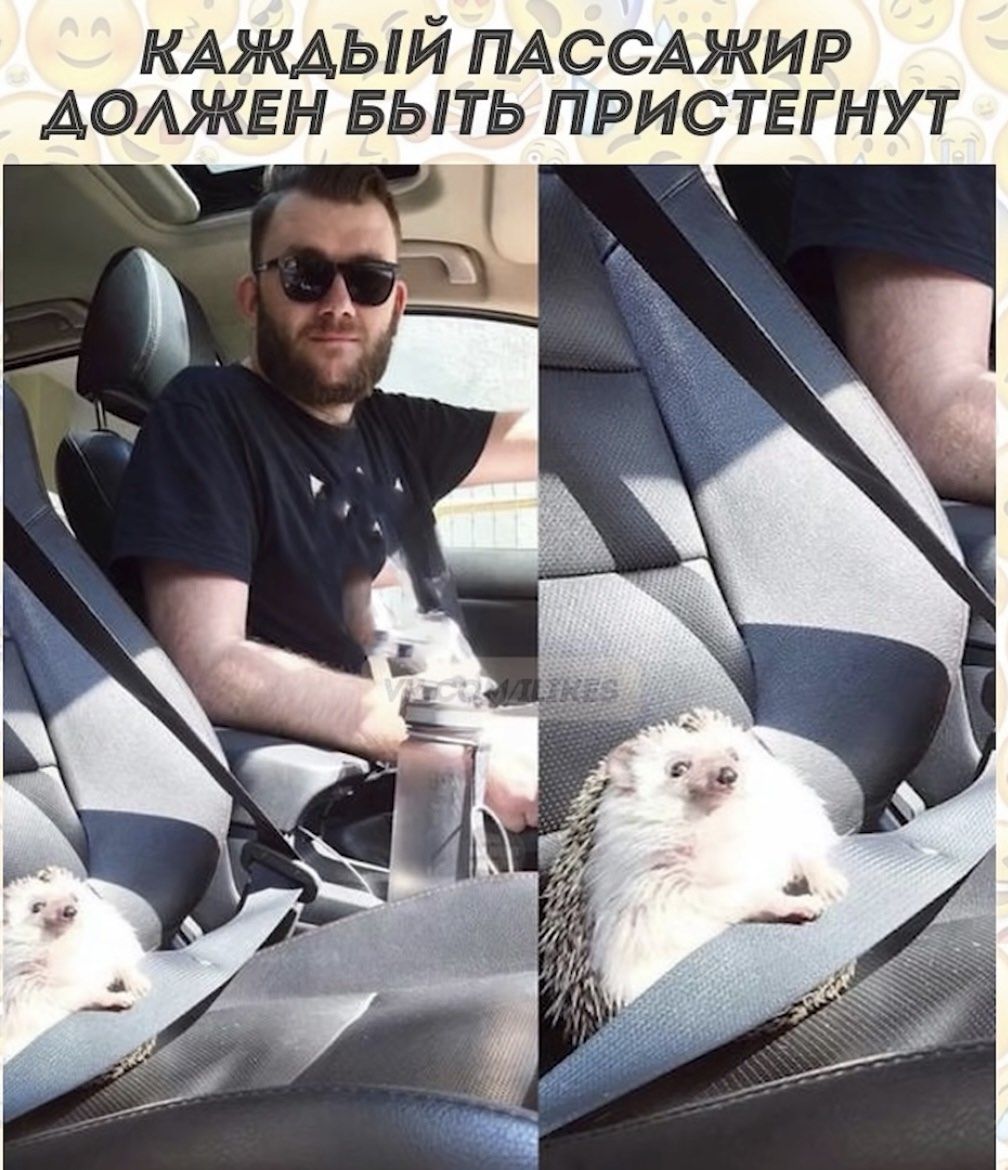 КАЖДЫЙ ПАССАЖИР ДОЛЖЕН БЫТЬ ПРИСТЕГНУТ