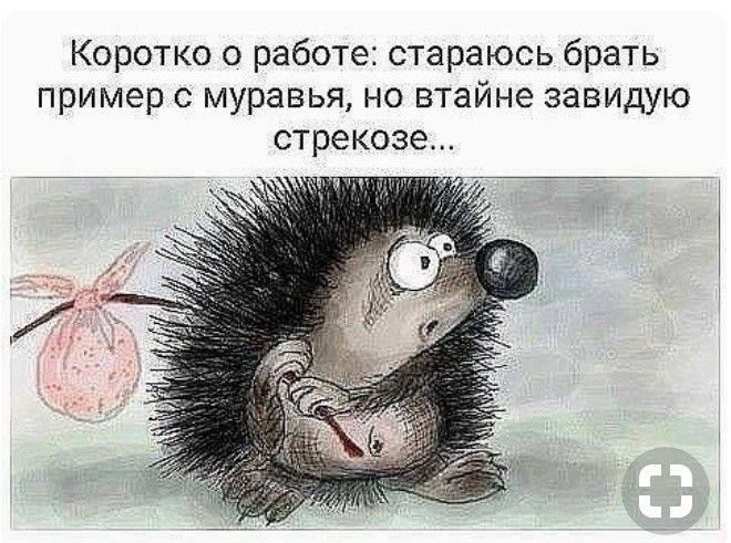 Коротко о работе: стараюсь брать пример с муравья, но втайне завидую стрекозе...