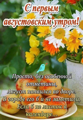 С первым августовским утром!
Просто, без особенной отметины,
Август появился во дворе.
В городе его б и не заметили,
Если б не листок в календаре...