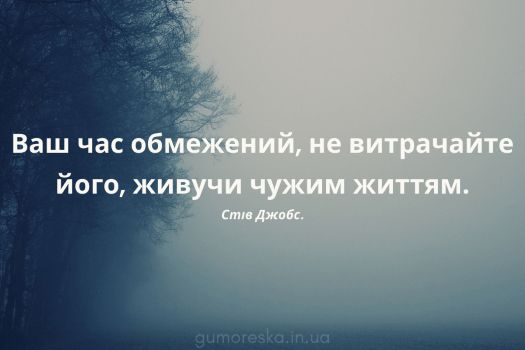 Ваш час обмежений, не витрачайте його, живучи чужим життям.
Стив Джобс.
