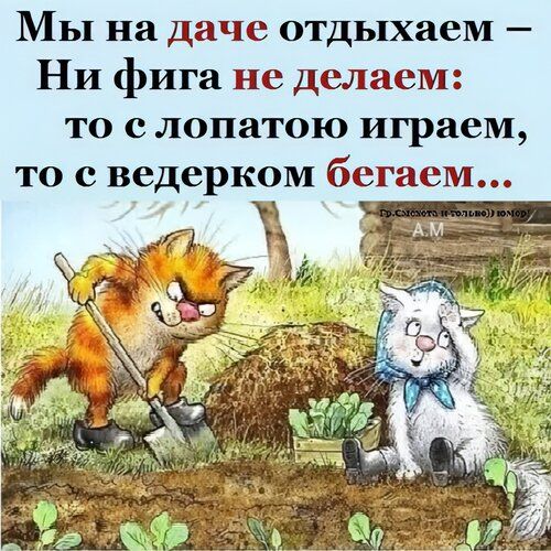 Мы на даче отдыхаем –
Ни фига не делаем:
то с лопатою играем,
то с ведерком бегаем...
