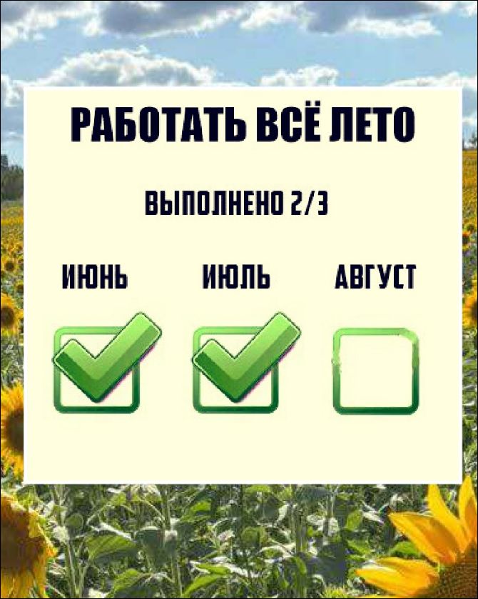 РАБОТАТЬ ВСЁ ЛЕТО
ВЫПОЛНЕННО 2/3
ИЮНЬ
ИЮЛЬ
АВГУСТ