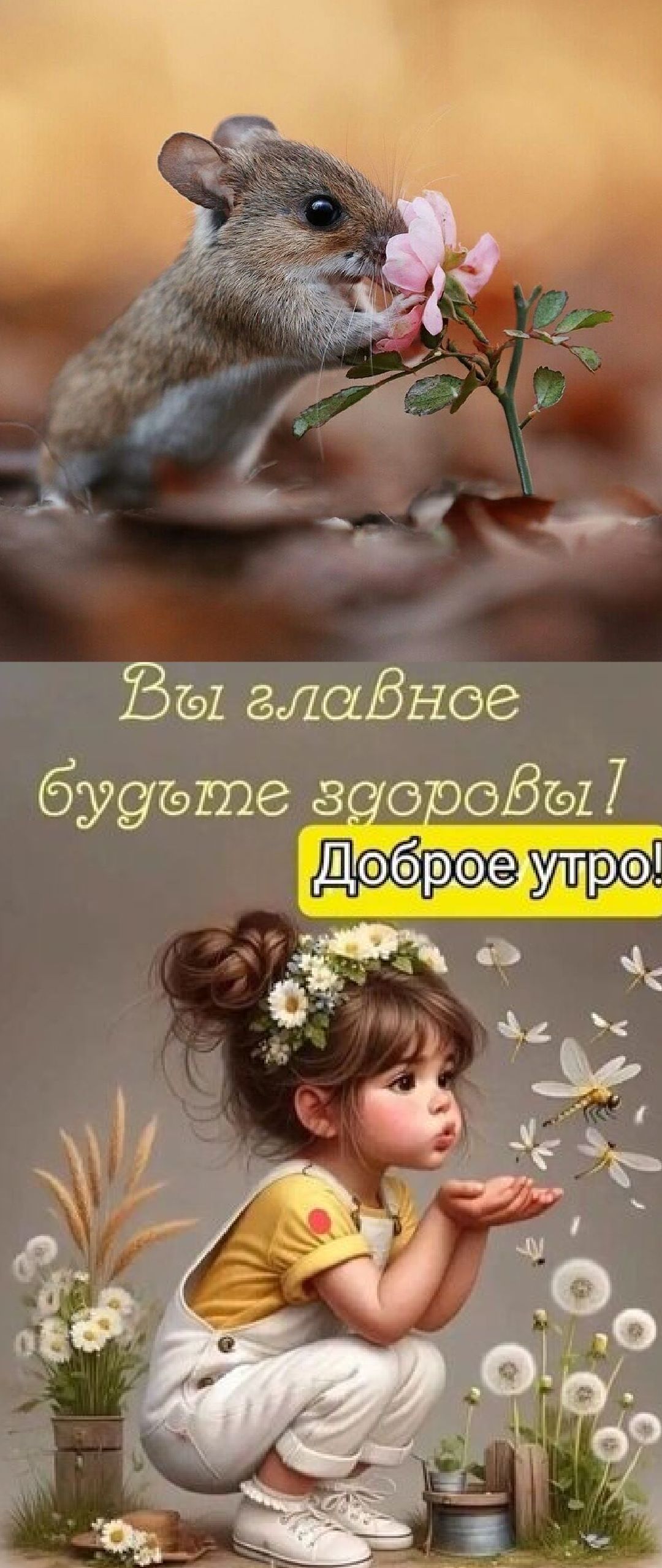 Вы главное будьте здоровы! Доброе утро!