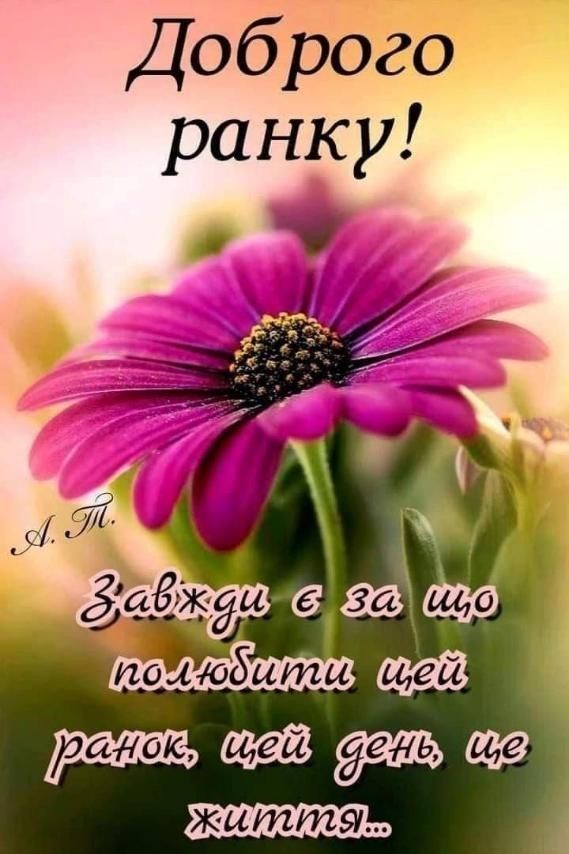 Доброго ранку! Завжди є за що полюбити цей ранок, цей день, це життя...