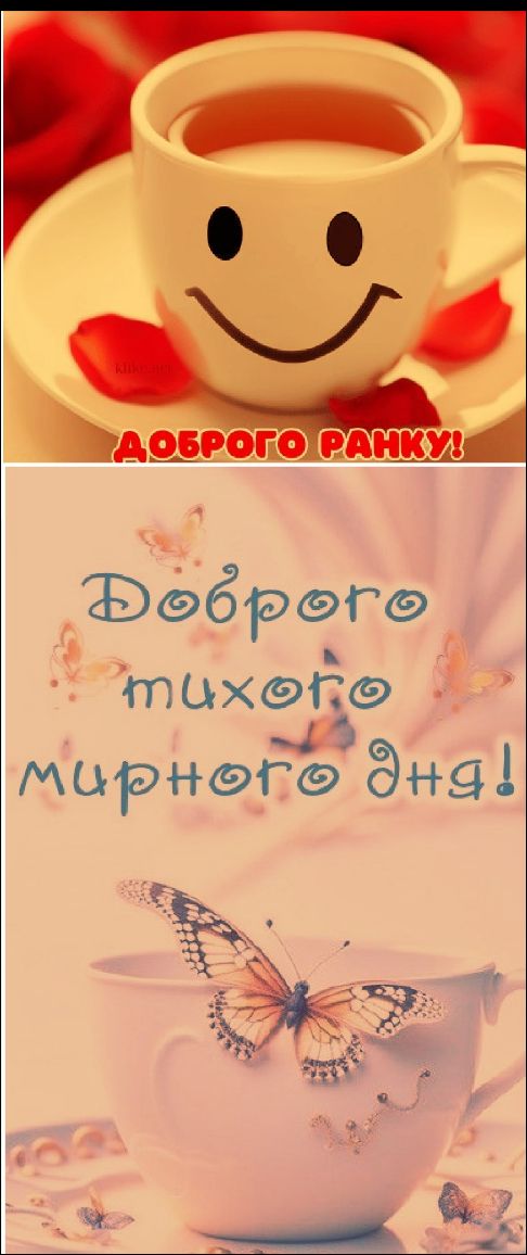 Доброго ранку!
Доброго тихого мирного дня!
