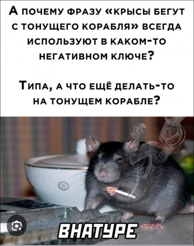 А ПОЧЕМУ ФРАЗУ «КРЫСЫ БЕГУТ С ТОНУЩЕГО КОРАБЛЯ» ВСЕГДА ИСПОЛЬЗУЮТ В КАКОМ-ТО NEGATIVNOM КЛЮЧЕ? ТИПА, А ЧТО ЕЩЁ ДЕЛАТЬ-ТО НА ТОНУЩЕМ КОРАБЛЕ? ВНАТУРЕ