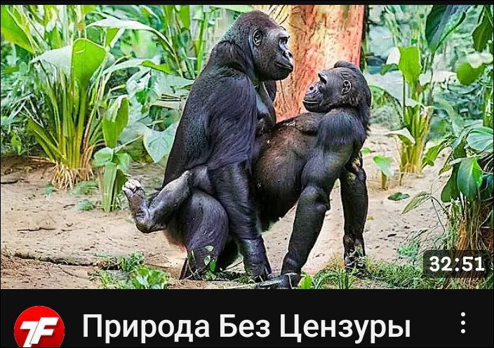 Природа Без Цензуры