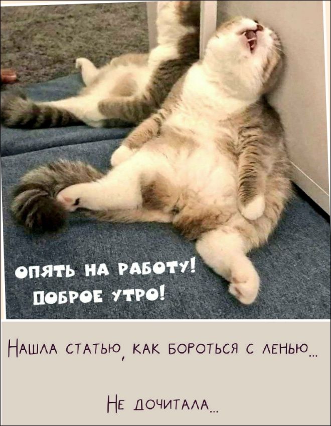 опять на работу! Доброе утро!
Нашла статью, как бороться с ленью...
Не дочитала...